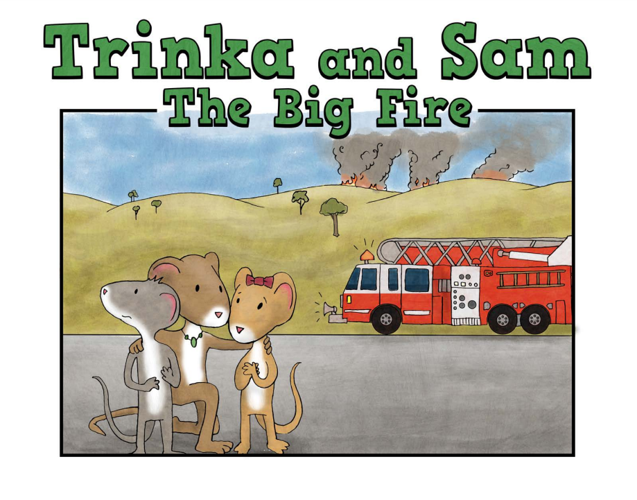 Trinka and Sam Disaster Series- offered in multiple languages